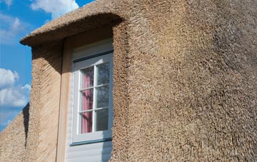 Wash Common thatch roof disadvantages